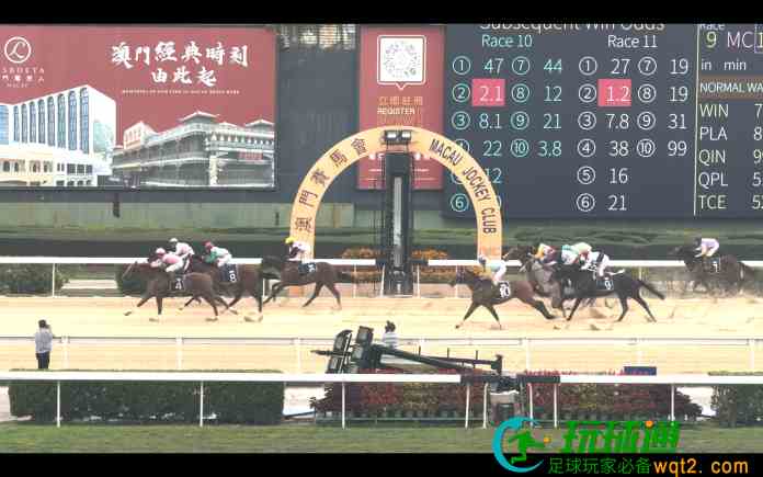 澳門賽馬會逾180匹馬分批運珠海檢疫隔離 擬作表演觀賞用途 澳門賽馬會逾180匹馬分批運珠海檢疫隔離 擬作表演觀賞用途