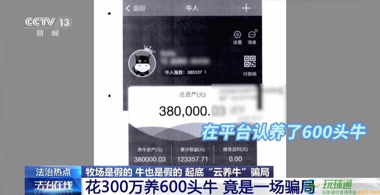 2万人被“云养牛”套牢,5.6亿养牛钱养出一场空